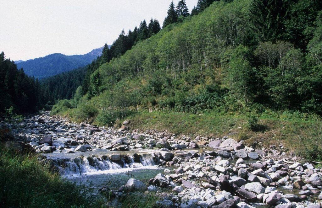 Torrente Vanoi