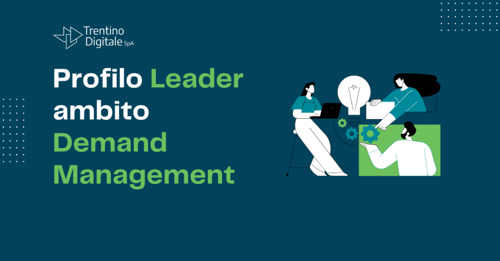Grafica profilo Leader DM - sezione Lavora con Noi